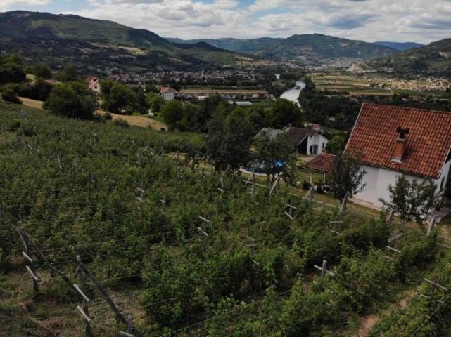 Prodaje se poljoprivredno zemljište, 6907 m2, Staro-Velika Župa, Prijepolje