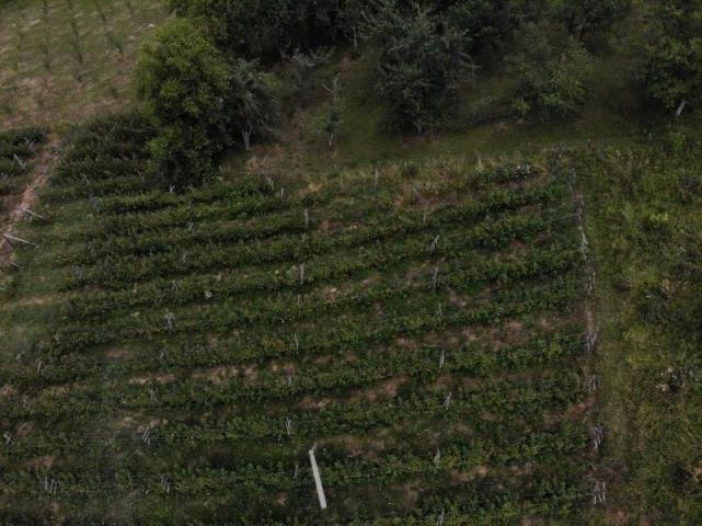 Prodaje se poljoprivredno zemljište, 6907 m2, Staro-Velika Župa, Prijepolje