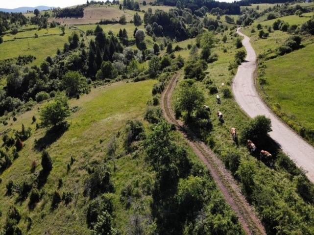 Prodaje se poljoprivredno zemljište 11028 m2, Gujanička mala, Nova Varoš