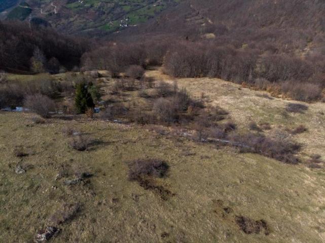 Prodaje se poljoprivredno i šumsko zemljište, 7. 71 ha, Sopotnica, Prijepolje