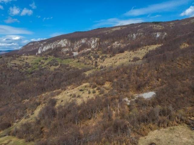 Prodaje se poljoprivredno i šumsko zemljište, 7. 71 ha, Sopotnica, Prijepolje