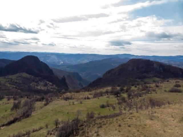 Prodaje se poljoprivredno i šumsko zemljište, 7. 71 ha, Sopotnica, Prijepolje