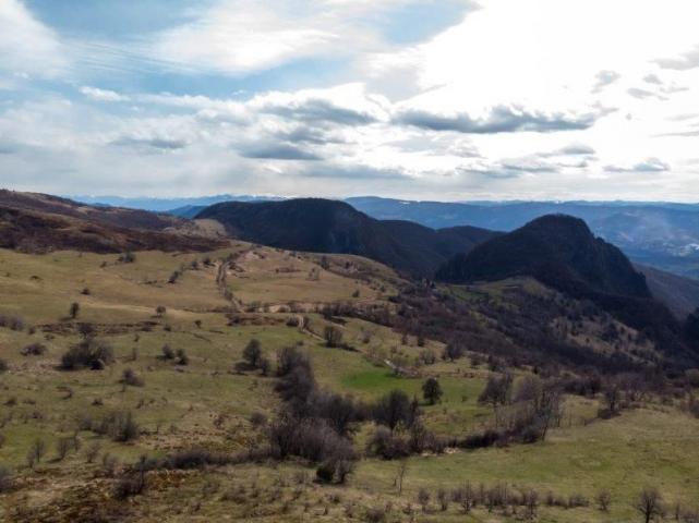 Prodaje se poljoprivredno i šumsko zemljište, 7. 71 ha, Sopotnica, Prijepolje