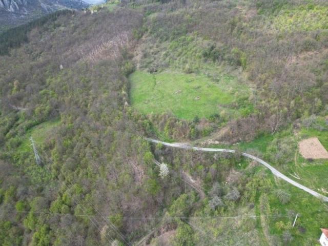 Prodaje se šumsko zemljište 11825 m2, Raišenjeva, Prijepolje