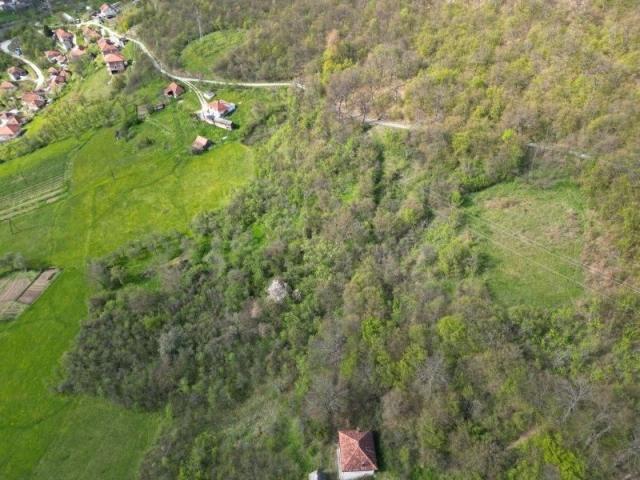 Prodaje se šumsko zemljište 11825 m2, Raišenjeva, Prijepolje