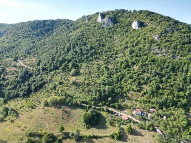 Prodaje se poljoprivredno i šumsko zemljište 5, 23 ha, Kaluđerovići, Priboj