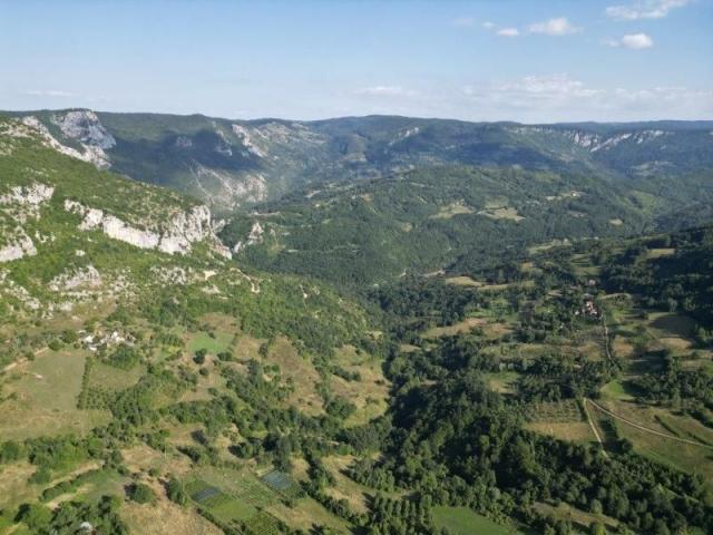 Prodaje se poljoprivredno i šumsko zemljište 5, 23 ha, Kaluđerovići, Priboj