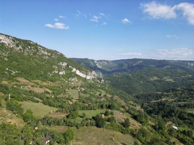 Prodaje se poljoprivredno i šumsko zemljište 5, 23 ha, Kaluđerovići, Priboj