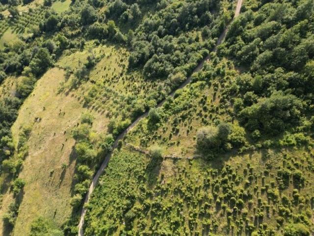 Prodaje se poljoprivredno i šumsko zemljište 5, 23 ha, Kaluđerovići, Priboj