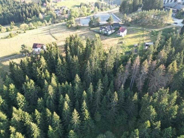 Prodaje se građevinsko zemljište 3850 m2, Zlatar, Nova Varoš