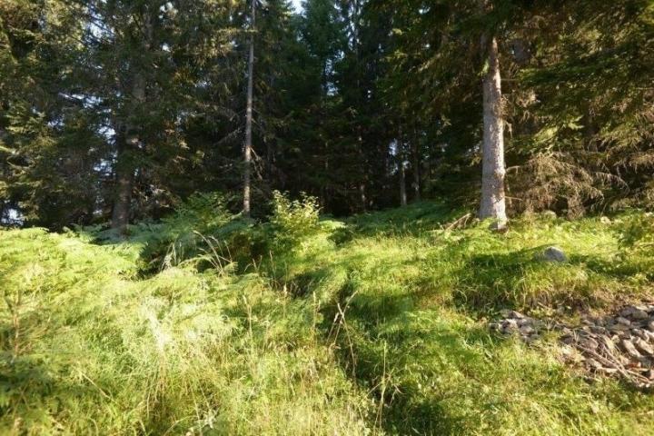 Prodaje se građevinsko zemljište 3850 m2, Zlatar, Nova Varoš