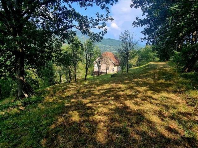 Prodaje se poljoprivredno gazdinstvo 11, 87 ha, Drenova, Prijepolje