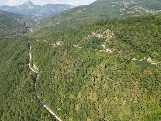 Prodaje se poljoprivredno gazdinstvo 11, 87 ha, Drenova, Prijepolje