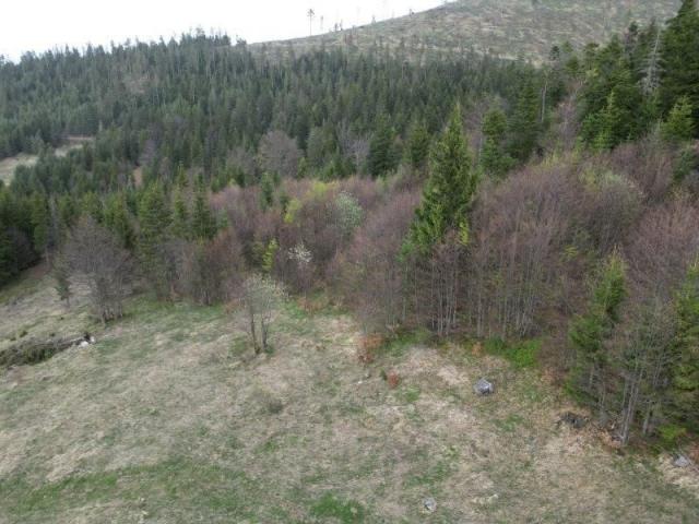 Prodaje se poljoprivredno zemljište 20131 m2, Draglica, Nova Varoš