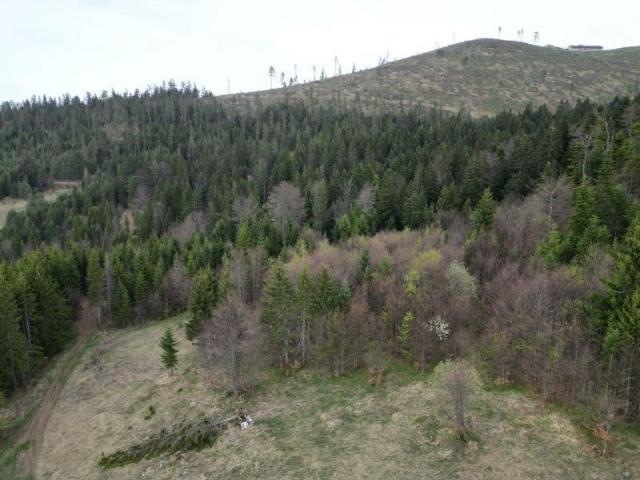 Prodaje se poljoprivredno zemljište 20131 m2, Draglica, Nova Varoš