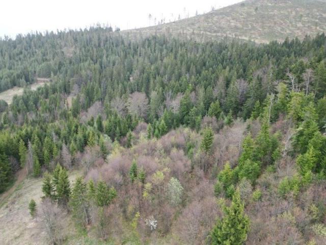 Prodaje se poljoprivredno zemljište 20131 m2, Draglica, Nova Varoš