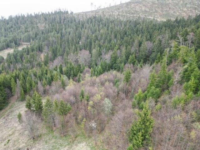 Prodaje se poljoprivredno zemljište 20131 m2, Draglica, Nova Varoš