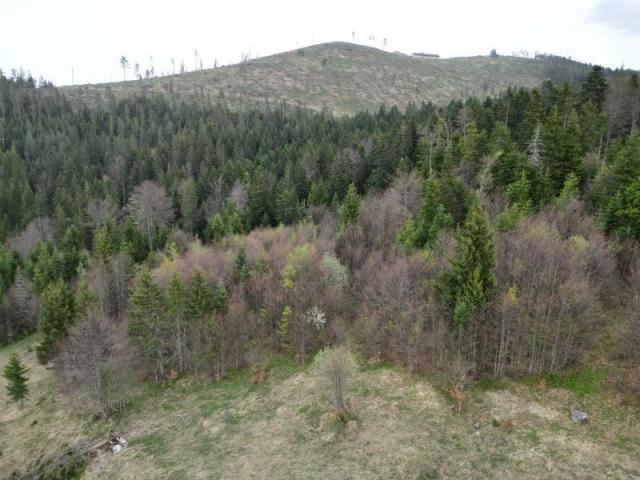 Prodaje se poljoprivredno zemljište 20131 m2, Draglica, Nova Varoš