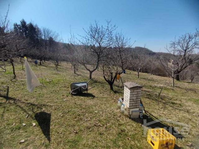 Kuća SREMSKA KAMENICA, POPOVICA, kv: 200, € 360500, ID: 3044982