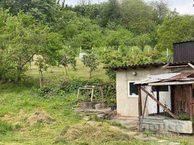 Kuća BANSTOL, BANSTOL, kv: 114, € 59000, ID: 3045724