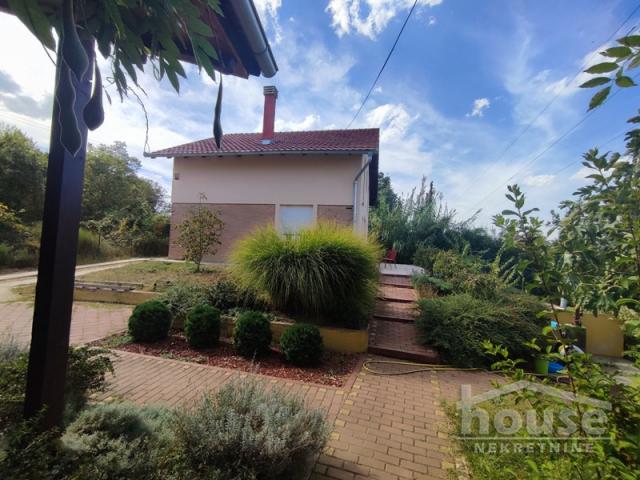 Izdavanje SREMSKA KAMENICA, BOCKE, kv: 239, € 1700, ID: 9116086