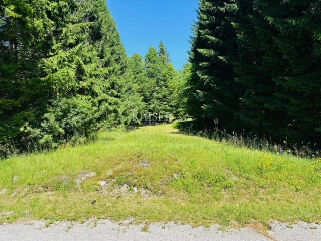 Gorski kotar, Delnice - building plot 896 m2