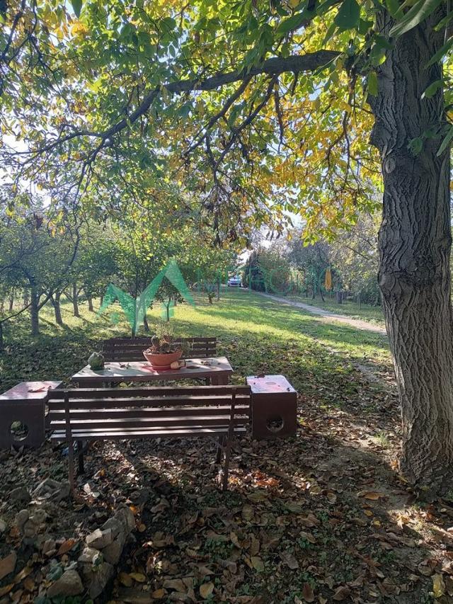 Čenej! Prelep plac sa kućom na glavnom putu! 