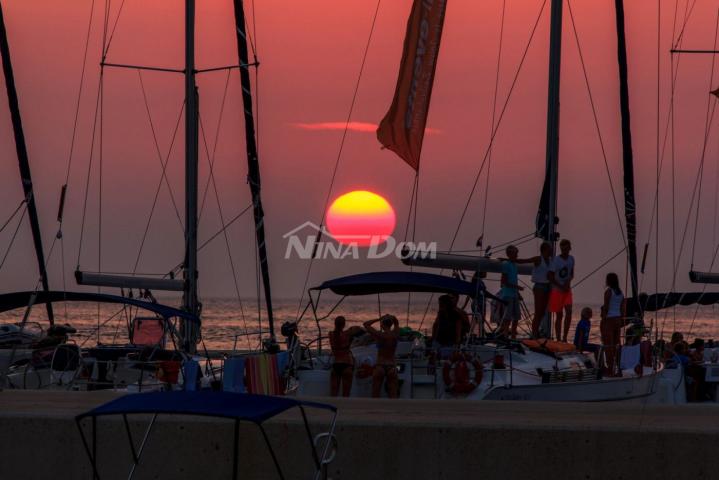 Prvi red otok Premuda rijetkost na tržištu