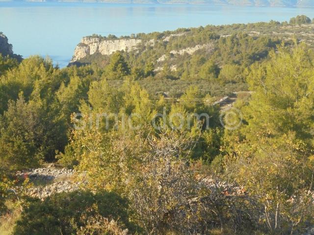 Prostrano poljoprivredno zemljište, Hvar