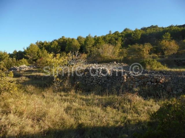 Prostrano poljoprivredno zemljište, Hvar