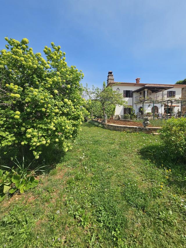 Steinhaus mit großem Garten in der Nähe von Buje in Istrien