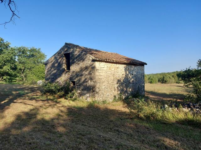 Odlična prilika , prodajemo cijelo brdo s pogledom na more i s malom kamenom kućicom u blizini Rovin