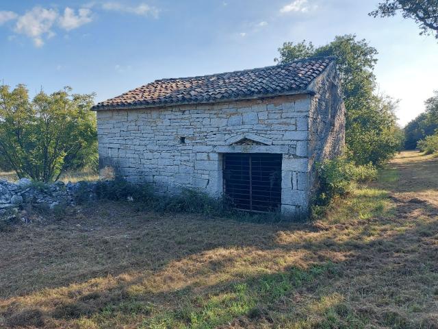 Odlična prilika , prodajemo cijelo brdo s pogledom na more i s malom kamenom kućicom u blizini Rovin