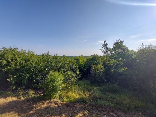 Odlična prilika , prodajemo cijelo brdo s pogledom na more i s malom kamenom kućicom u blizini Rovin