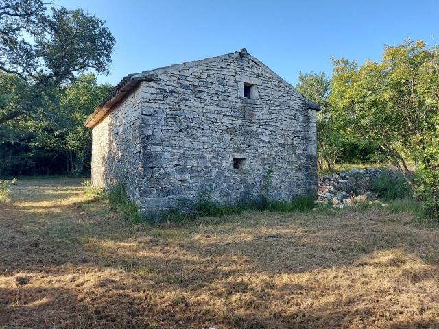 Odlična prilika , prodajemo cijelo brdo s pogledom na more i s malom kamenom kućicom u blizini Rovin