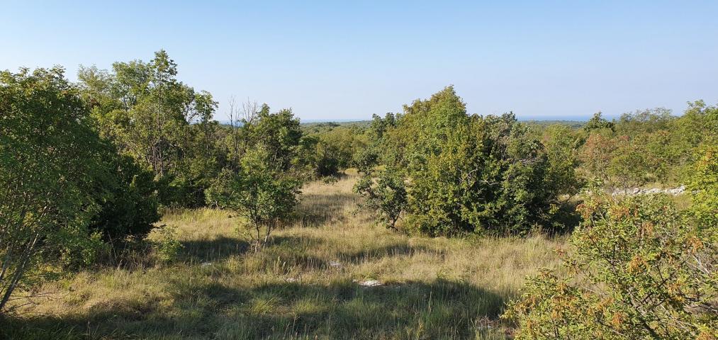 Odlična prilika , prodajemo cijelo brdo s pogledom na more i s malom kamenom kućicom u blizini Rovin