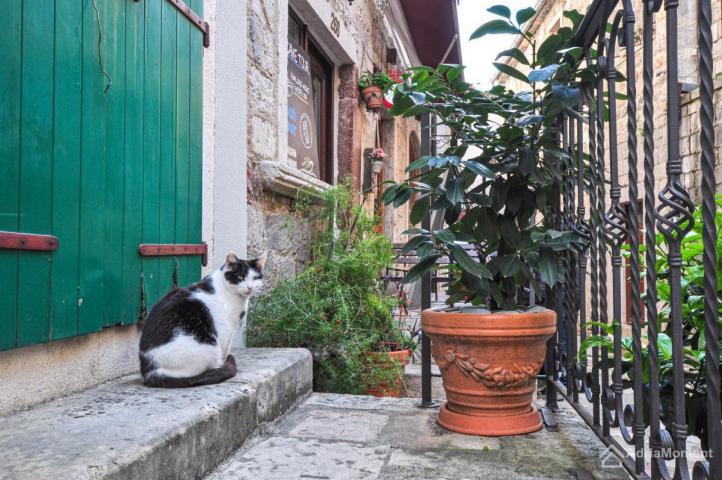 Prodaja stanova Kotor Stari grad - dupleks