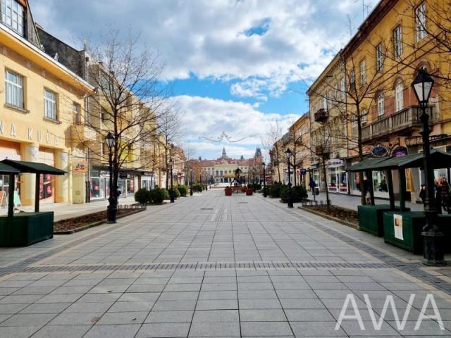 Pešačka zona, salonski stan 129m2  i dodatnih 30m2