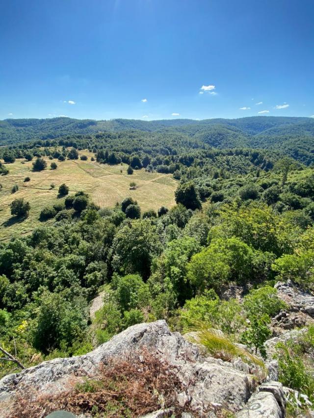 Juzni Kucaj-Kucajske planine-Brezovica  -Zemljiste 12999m2 sa ucrtanim objektom 18m2