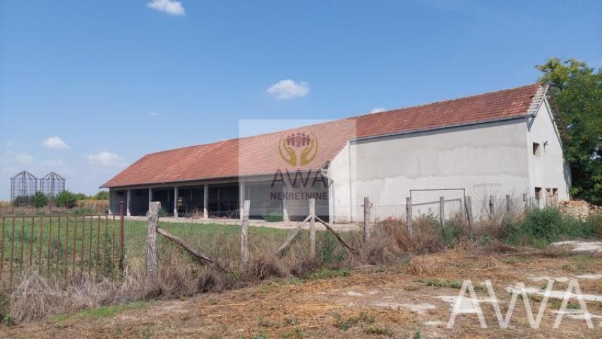 Salaš-Farma, Obzir, salaš 150m2, sa 6, 48 kj poljoprivrednog zemljišta