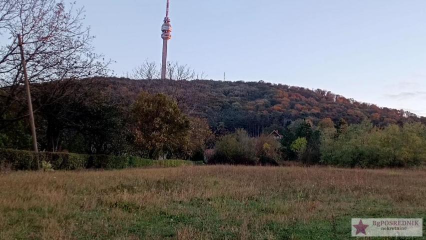 Voždovac, Beli potok, Avalska, 25ari