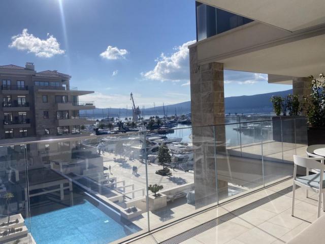 Luxury apartment in Porto Montenegro