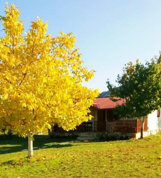 Large plot with a house in Grahovo