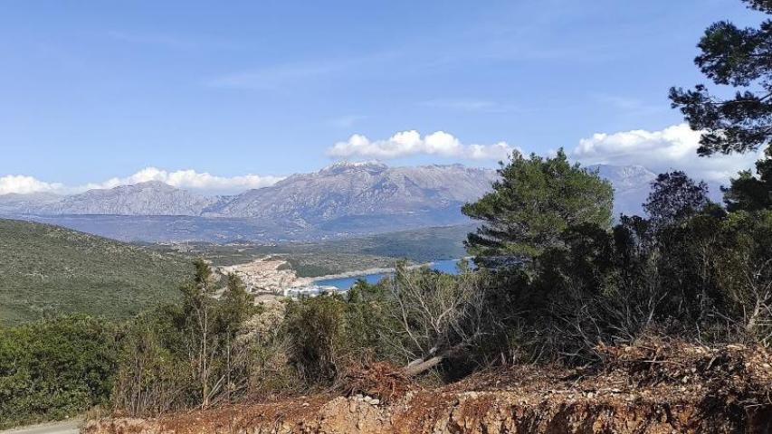 Prodaja, Plac, 0m2 , Luštica Bay