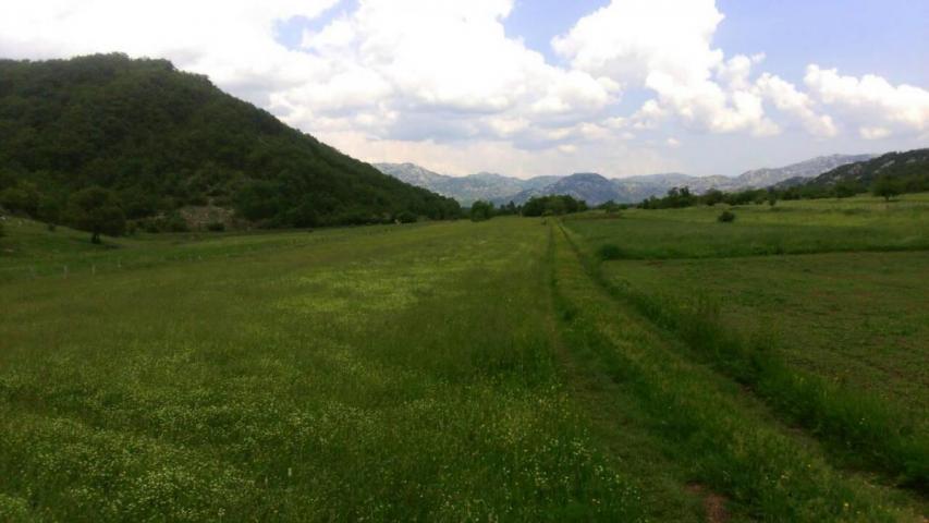 Huge plot of land 21800 m2 for sale, Grahovo, Nikšić