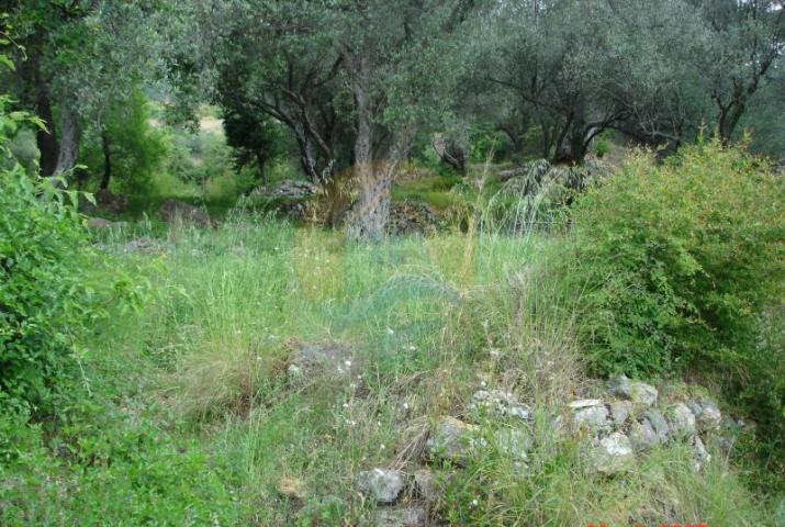 Urbanized plot in Kavac, Kotor