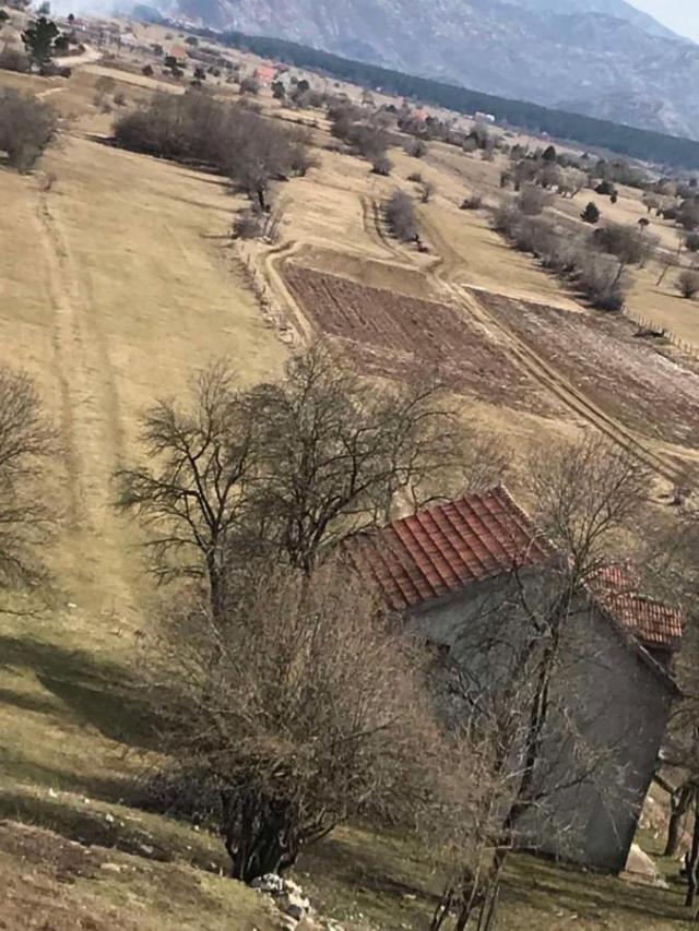 Huge plot of land 21800 m2 for sale, Grahovo, Nikšić