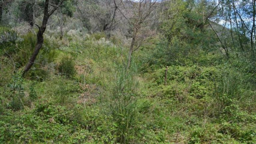 Urbanized plot in Kumbor, Herceg Novi