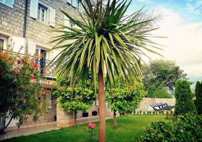 Hotel by the sea in Perast