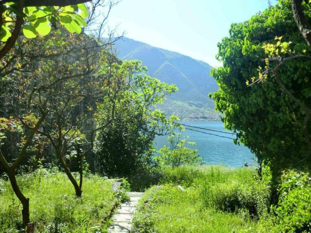 A house in a perfect location in Kotor is for sale